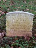 image of grave number 730230